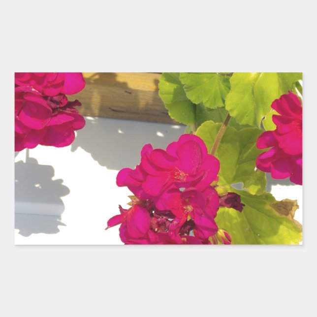 Pretty dark Pink floral flower Geranium Sticker (Front)