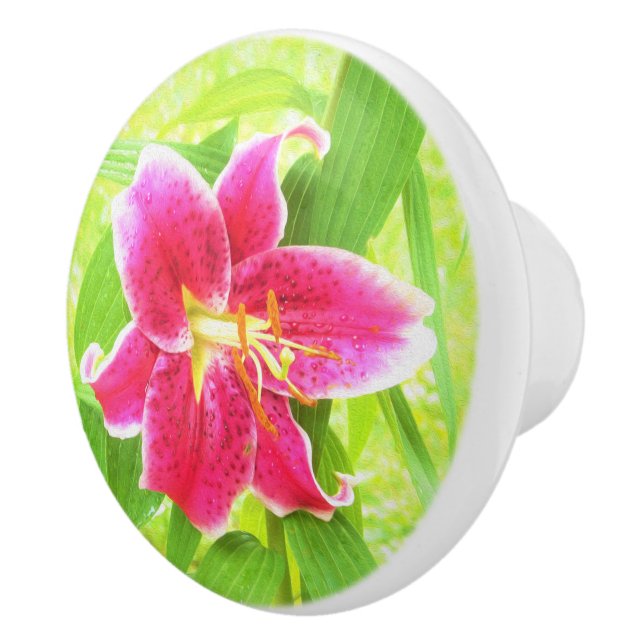 Pretty Deep Pink Stargazer Lily on Lime Green Ceramic Knob (Right)