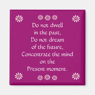 Pretty "Do not dwell in the past" magnet