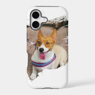 Pretty Dog Design