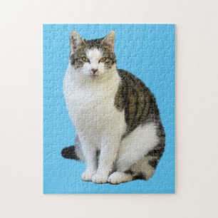 PRETTY DOMESTIC CAT JIGSAW PUZZLE