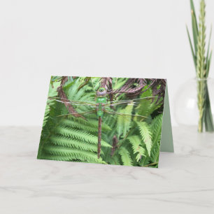 Pretty Dragonfly in Garden Photo Greeting Card