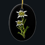 Pretty Edelweiss ornament<br><div class="desc">Beautiful oval ornament,  with graphics of the Alpine flower Edelweiss,  against a jet black background.  Great on your Christmas tree or as other decorative uses around the house,  like a fan pull or hanging on the wall. Makes a great gift for anyone who loves fine art.</div>
