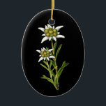 Pretty Edelweiss ornament<br><div class="desc">Beautiful oval ornament,  with graphics of the Alpine flower Edelweiss,  against a jet black background.  Great on your Christmas tree or as other decorative uses around the house,  like a fan pull or hanging on the wall. Makes a great gift for anyone who loves fine art.</div>