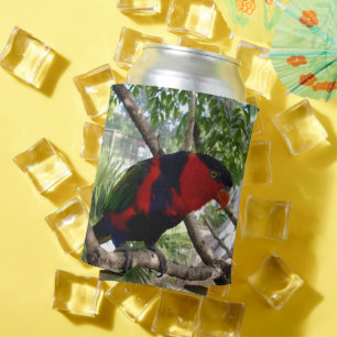 Pretty Face Rainbow Lorikeet, Can Cooler