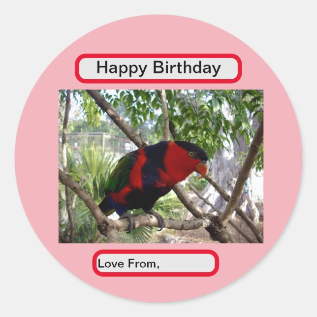 Pretty Face Rainbow Lorikeet, Classic Round Sticker (Front)