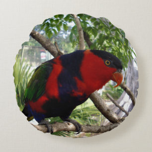 Pretty Face Rainbow Lorikeet, Round Pillow