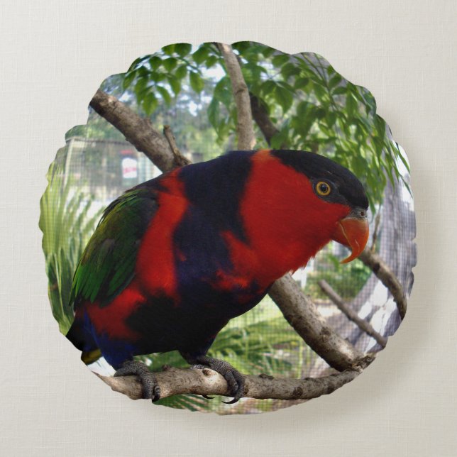 Pretty Face Rainbow Lorikeet, Round Pillow (Front)