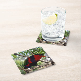 Pretty Face Rainbow Lorikeet, Square Paper Coaster