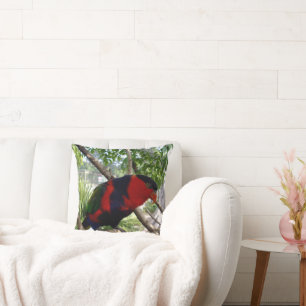 Pretty Face Rainbow Lorikeet, Throw Pillow