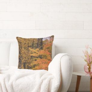 Pretty Fall Leaves Tulip Poplar Reversible Pillow