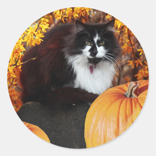 Pretty Fall Sticker (Front)