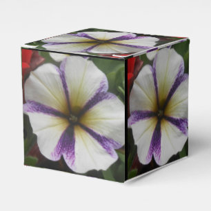 Pretty Favor Box