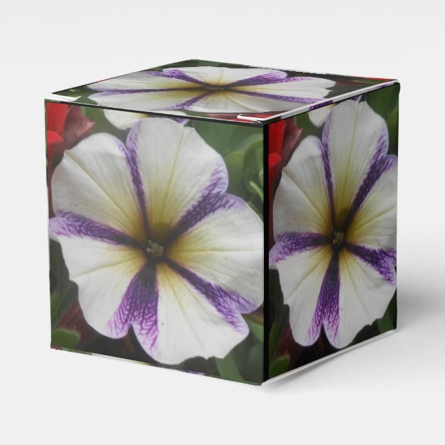 Pretty Favor Box (Front Side)