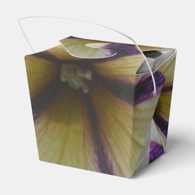 Pretty Favor Box (Back Side)