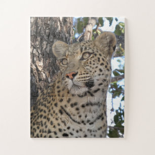 PRETTY FEMALE LEOPARD CLOSE-UP JIGSAW PUZZLE