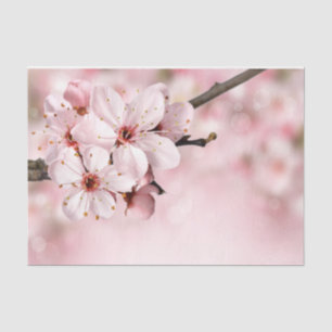Pretty Feminine Pink Cherry Floral Spring Sakura Tissue Paper