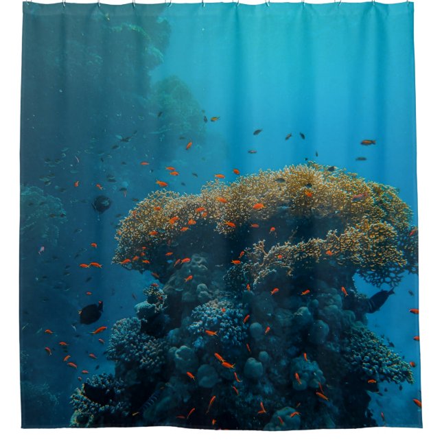 Pretty Fishes And Reefs (Front)
