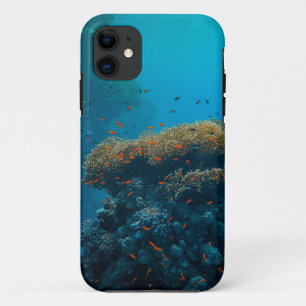 Pretty Fishes And Reefs iPhone 11 Case
