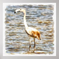 Pretty Flamingo Fledgling Watercolor