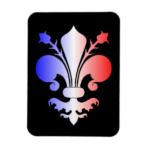 Pretty Fleur De Lis design decorative Magnet
