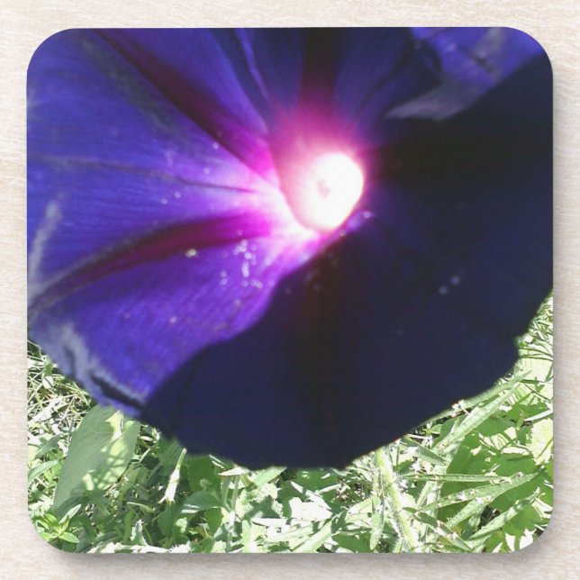 Pretty Floral Coaster (Front)