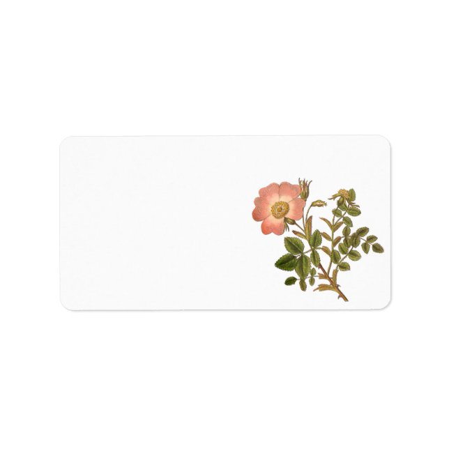 Pretty Floral Label - Pink Vintage Rose (Front)