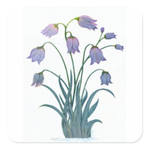 PRETTY FLOWER ON SQUARE STICKER