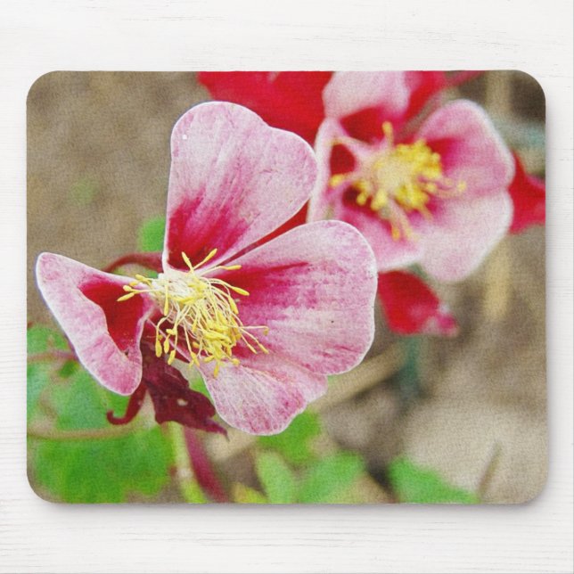 Pretty Flowers Columbine  Mouse Pad (Front)