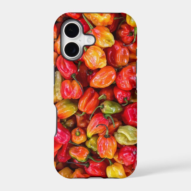 Pretty Food (Back)