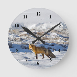 Pretty Fox Snow Photo Round Clock