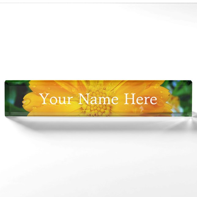 pretty full bloom summer yellow daisy flower. nameplate (Front)