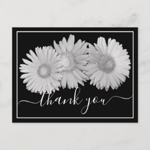 Pretty Gerbera Daisies Botanical Colorful Floral Postcard