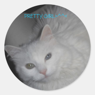 PRETTY GIRL>^^< CLASSIC ROUND STICKER