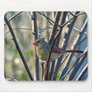 Pretty Girl Female Cardinal Mouse Pad