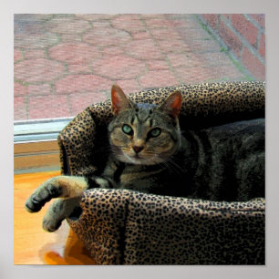 Pretty Girl Indigo CB Poster