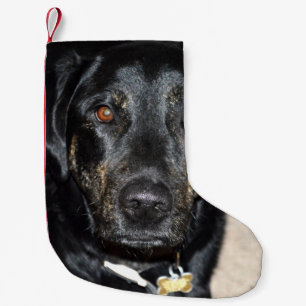 Pretty Girl Splash Small Christmas Stocking