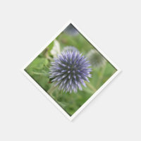 Pretty Globe Thistle