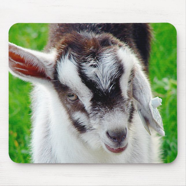 Pretty Goat Kid Mouse Pad (Front)