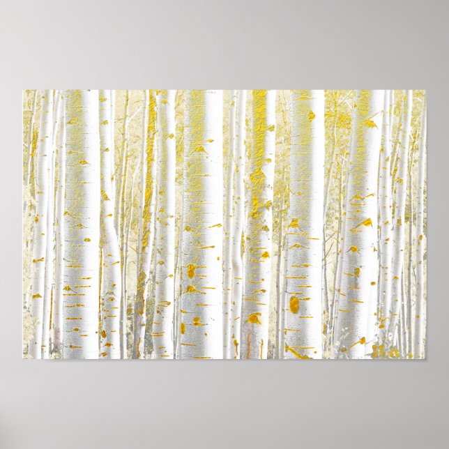 Pretty Gold-Brushed White Birch Tree Forest Poster (Front)