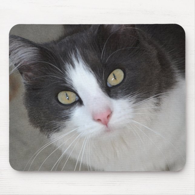 Pretty gray and white cat mouse pad (Front)