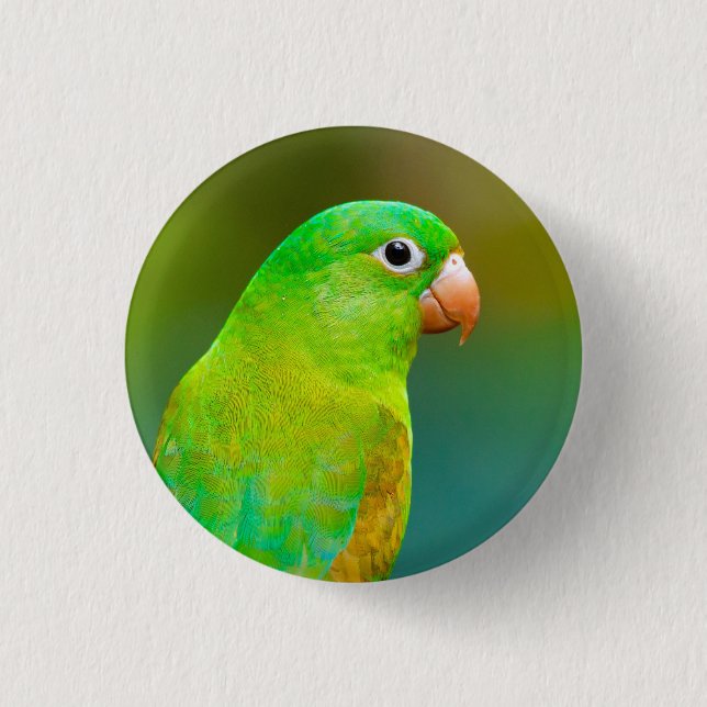 Pretty Green Parrot Photo 1 Inch Round Button (Front)