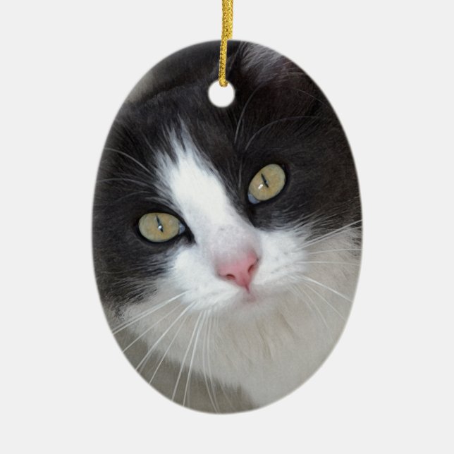 Pretty grey and white cat ceramic ornament (Front)
