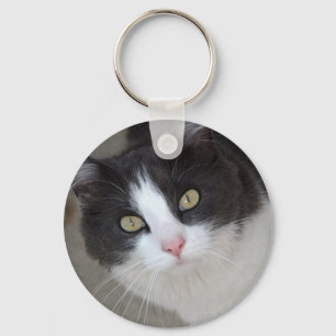 Pretty grey and white cat keychain