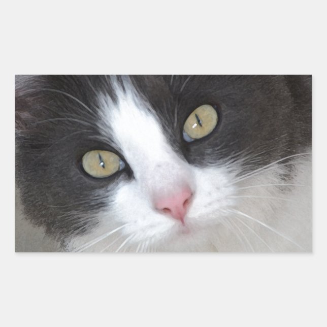 Pretty grey and white cat sticker (Front)