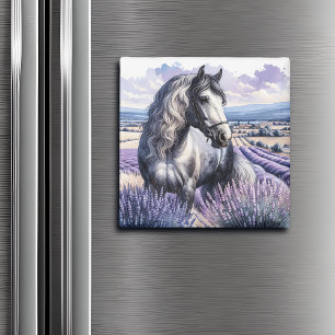 Pretty Grey Horse Standing in Lavender Magnet