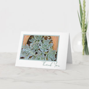 Pretty Hens & Chicks Any Occasion Script 5 x 7  Thank You Card