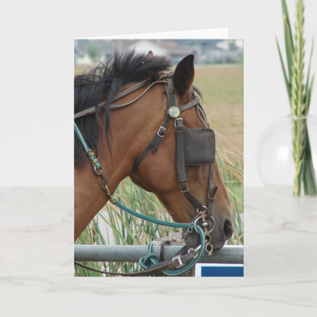 Pretty Horse Card (Front)