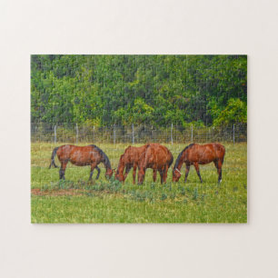 Pretty Horses Grazing in a Texas Pasture Peaceful  Jigsaw Puzzle