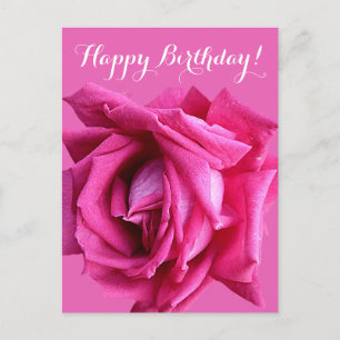 Pretty hot pink rose floral Happy Birthday card